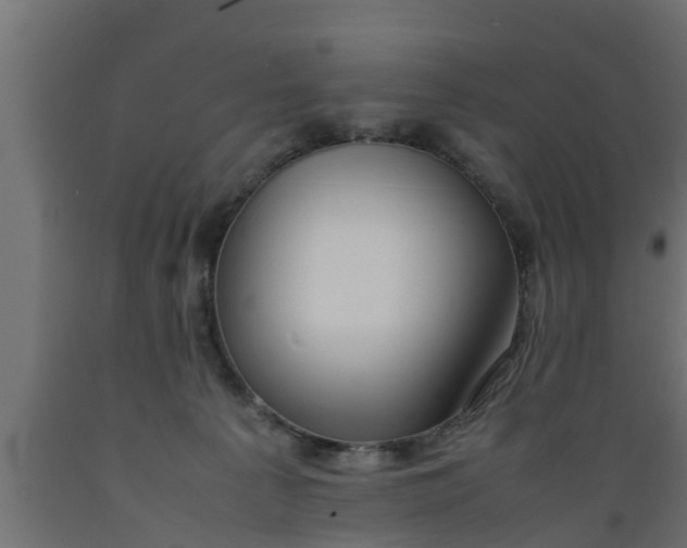 X0000089460225200707061309