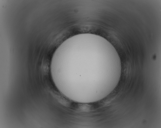 X0000089460226200707061309