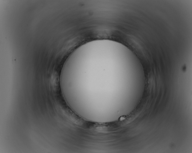 X0000089460228200707061309