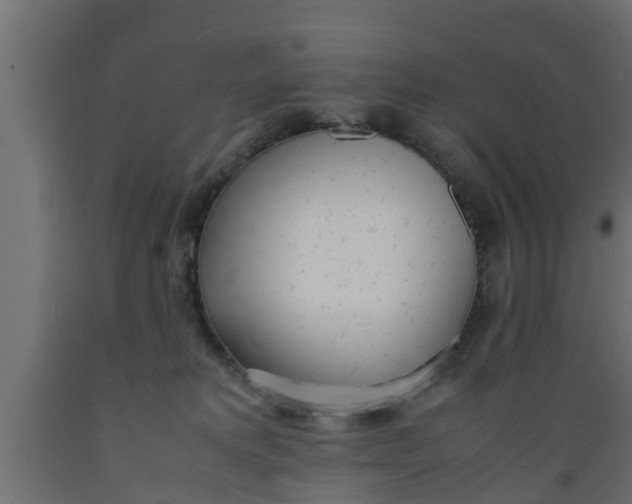 X0000089460229200707061309
