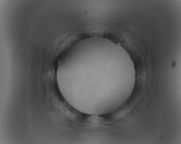 X0000089460231200707061309