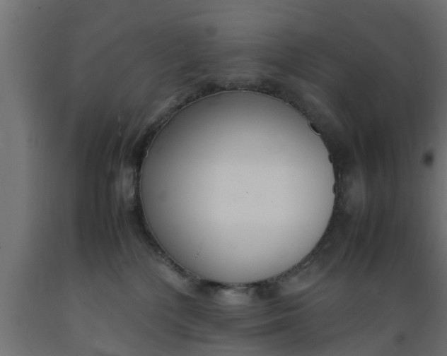 X0000089460232200707061309
