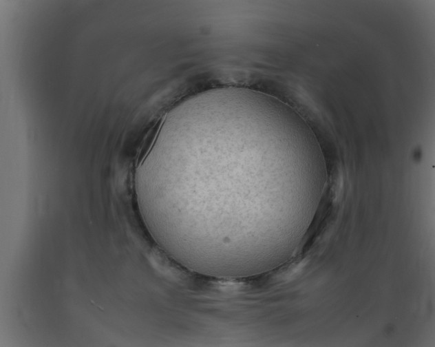 X0000089460233200707061309