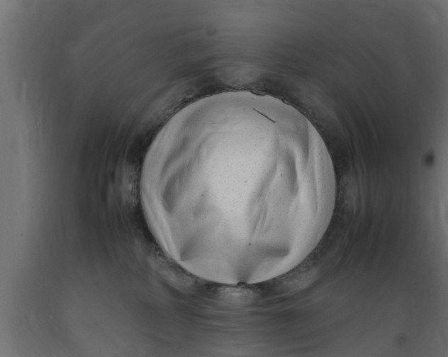 X0000089460234200707061309
