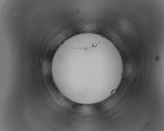 X0000089460236200707061309