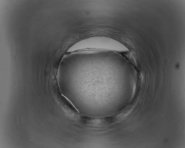 X0000089460237200707061309