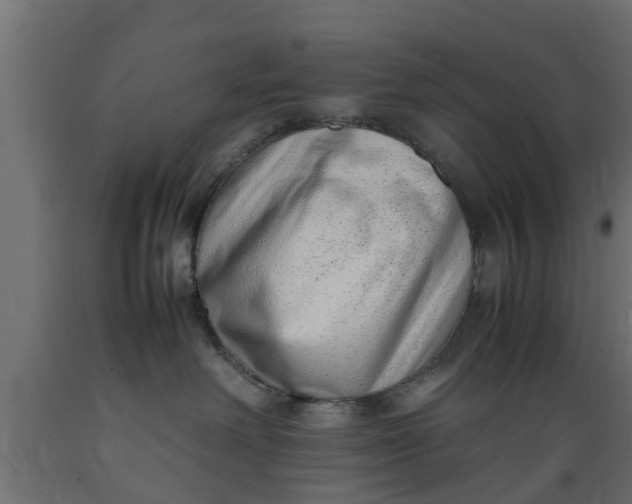 X0000089460238200707061309