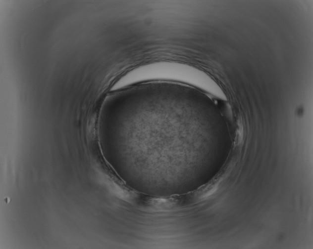 X0000089460239200707061309