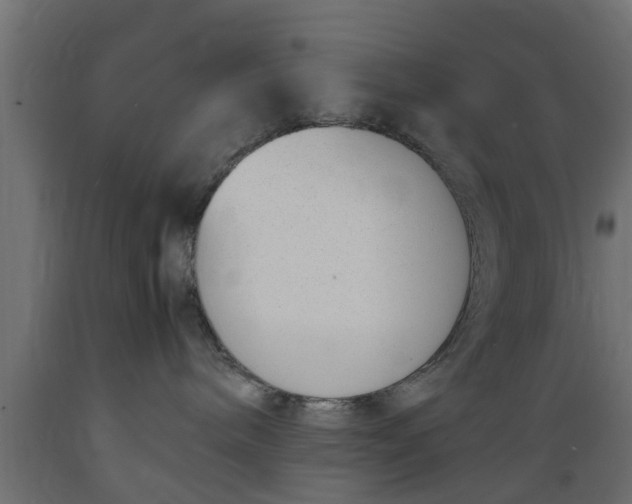 X0000089460240200707061309