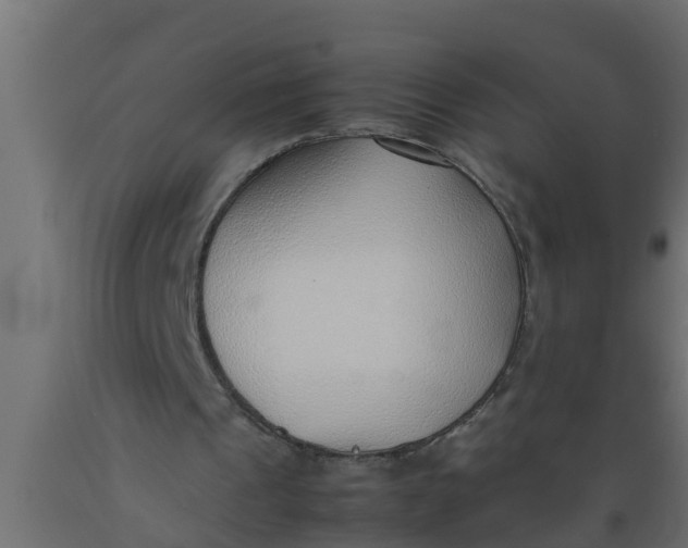 X0000089460241200707061309