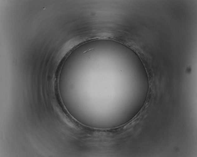 X0000089460242200707061309