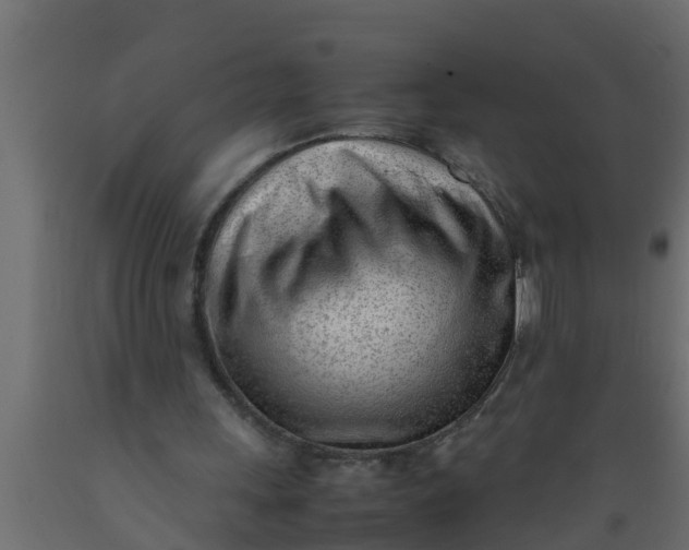 X0000089460243200707061309