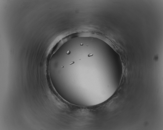 X0000089460244200707061309