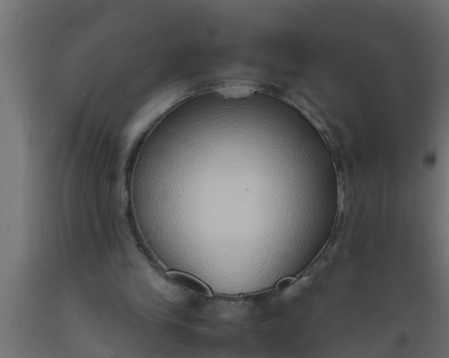 X0000089460245200707061309