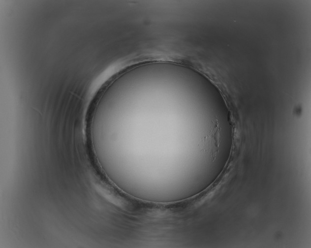 X0000089460246200707061309