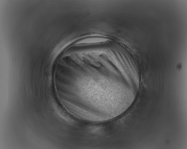 X0000089460247200707061309