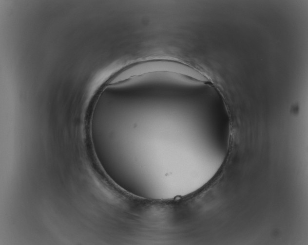 X0000089460248200707061309