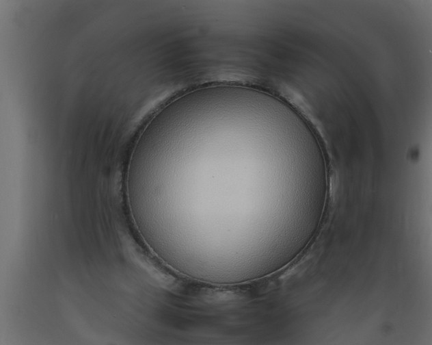 X0000089460249200707061309