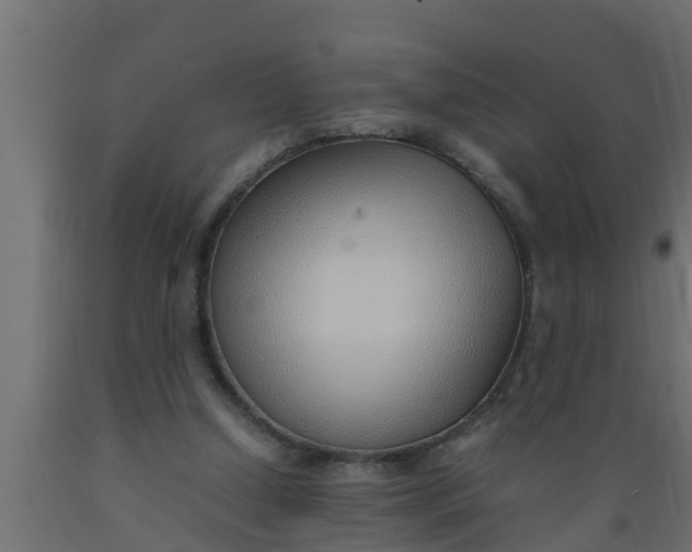 X0000089460250200707061309