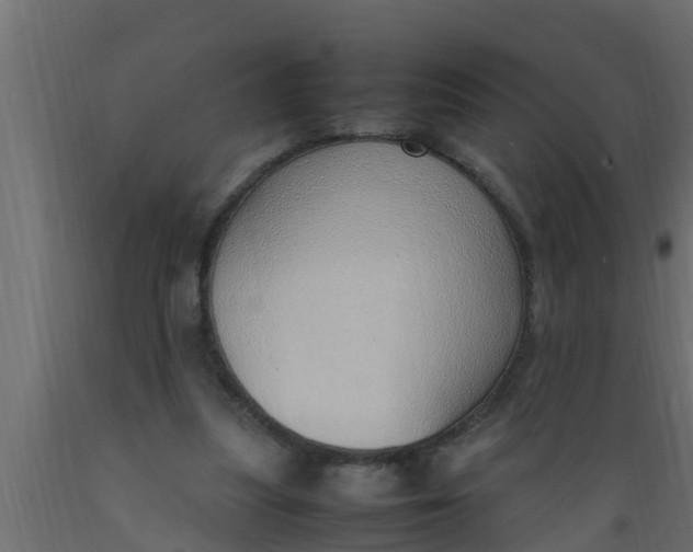 X0000089460251200707061309