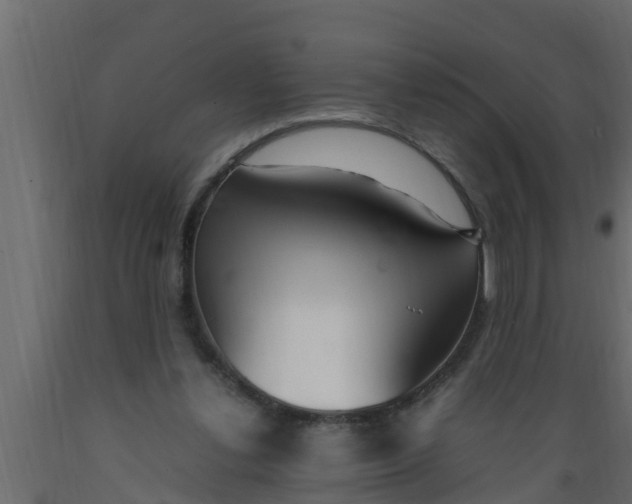 X0000089460252200707061309