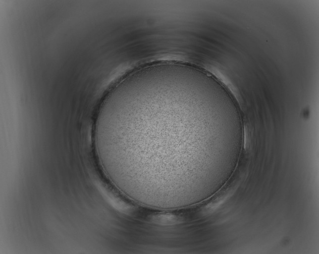 X0000089460253200707061309