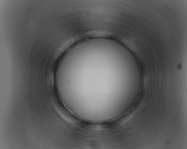 X0000089460254200707061309