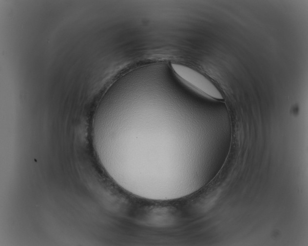 X0000089460255200707061309
