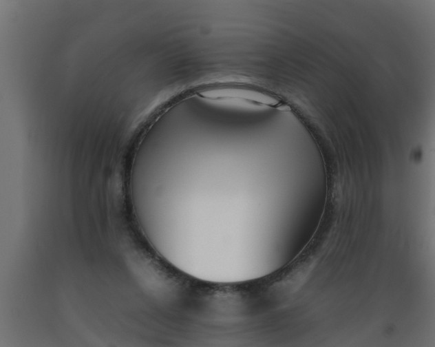 X0000089460256200707061309