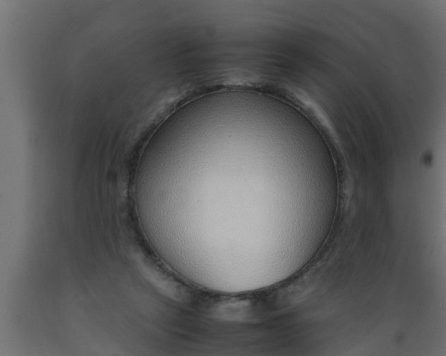 X0000089460257200707061309