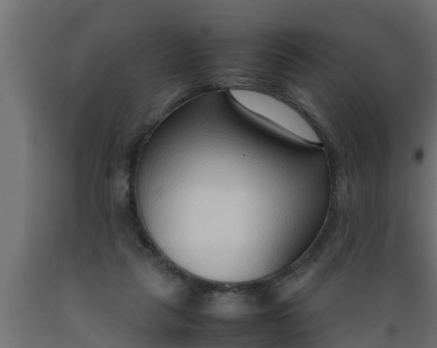 X0000089460259200707061309