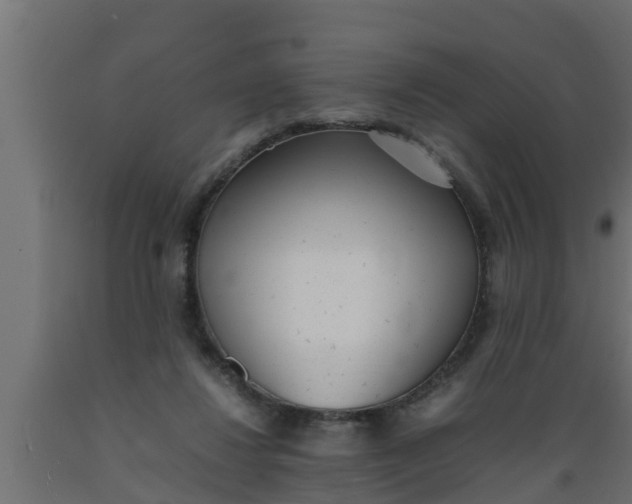 X0000089460260200707061309