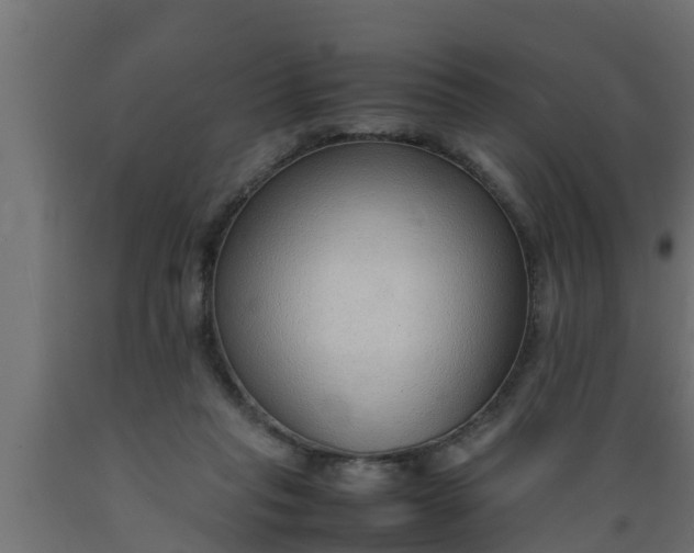 X0000089460261200707061309