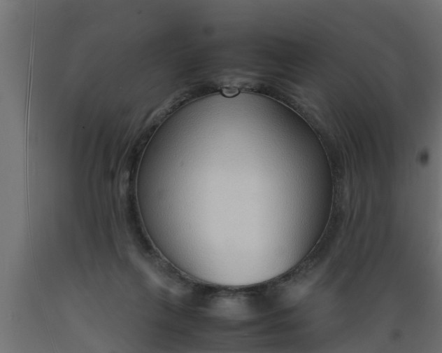 X0000089460263200707061309