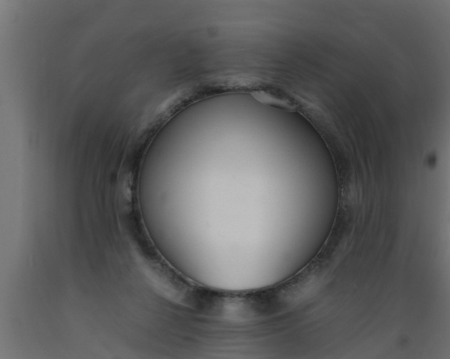 X0000089460264200707061309
