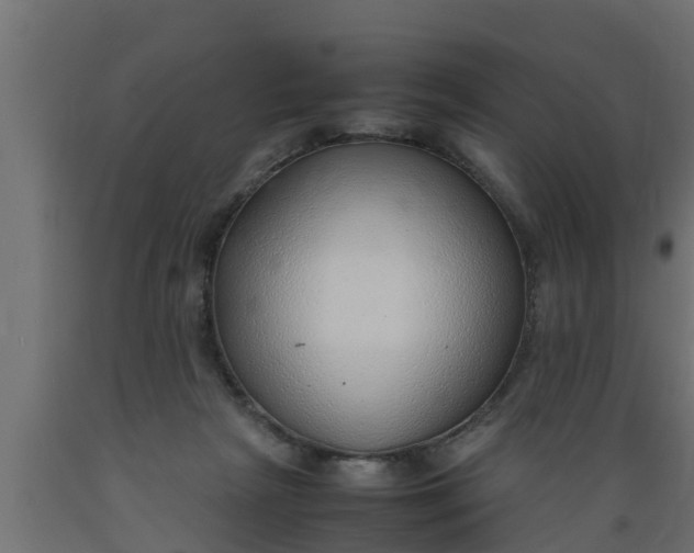 X0000089460265200707061309