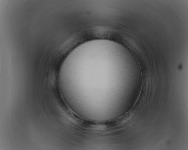 X0000089460266200707061309