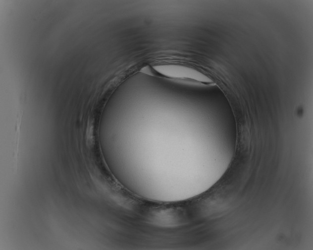X0000089460267200707061309