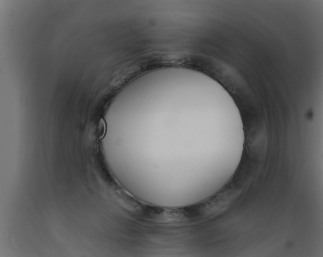 X0000089460270200707061309