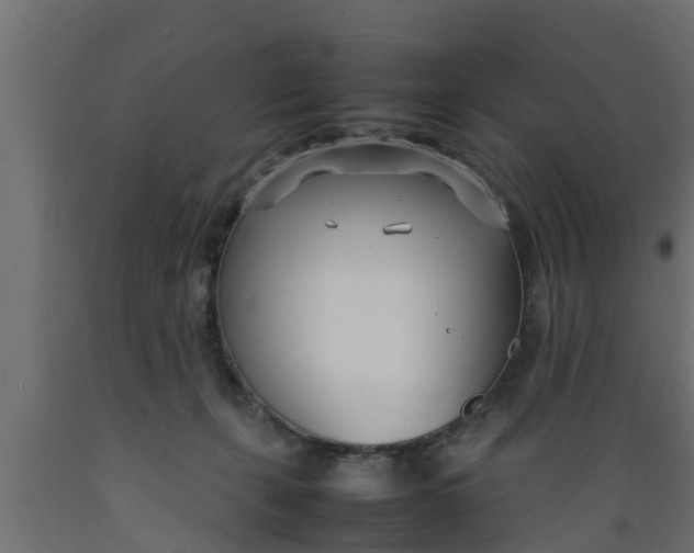 X0000089460271200707061309