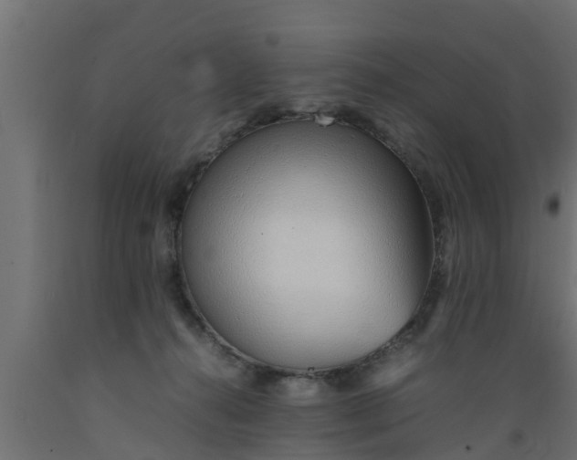 X0000089460272200707061309