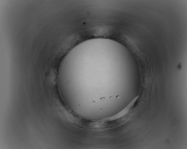 X0000089460273200707061309
