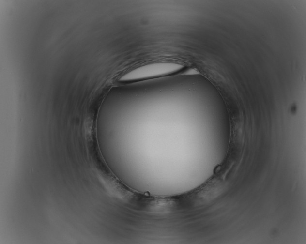 X0000089460274200707061309