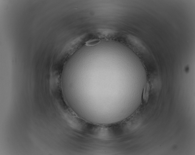 X0000089460276200707061309