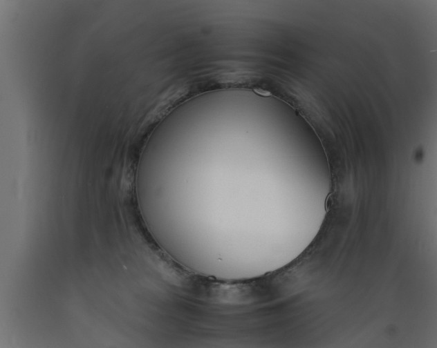 X0000089460277200707061309