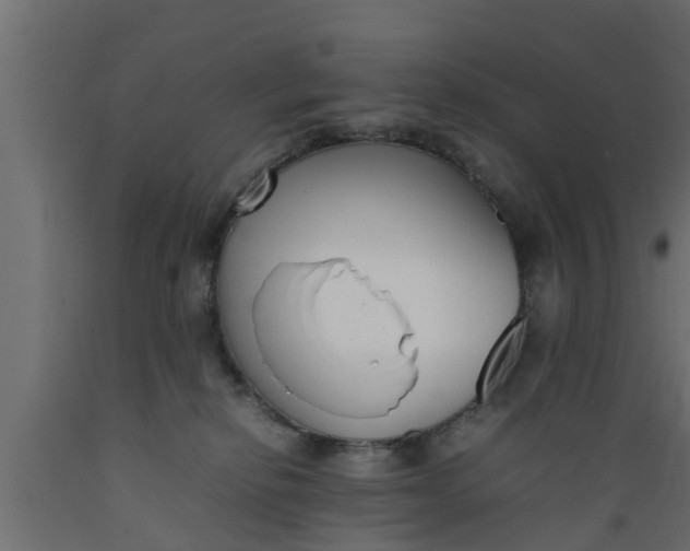 X0000089460278200707061309
