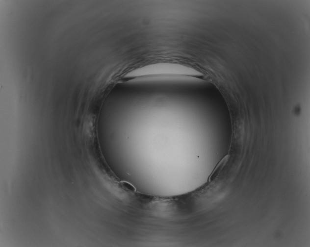 X0000089460280200707061309
