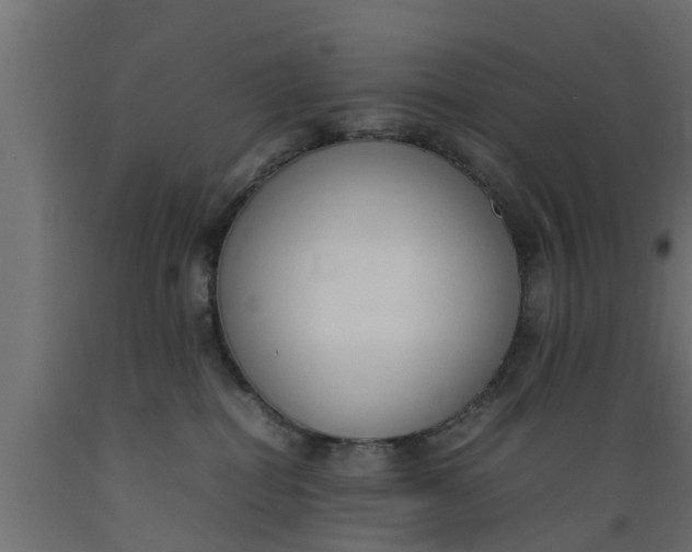 X0000089460282200707061309