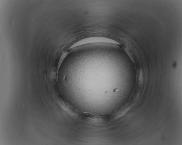 X0000089460284200707061309