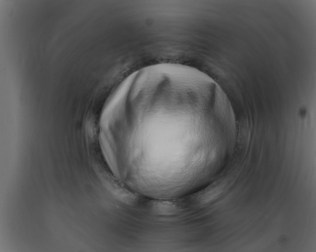 X0000089460287200707061309